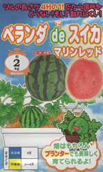 ベランダ de スイカ　マリンレッド