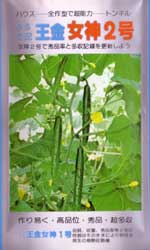 王金女神2号