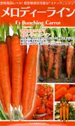 メロディーライン