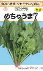 めちゃうま7（セブン）