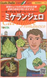 ミケランジェロ