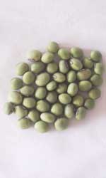 緑大豆