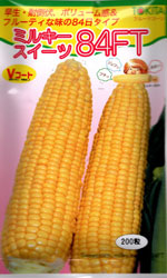 ミルキースイーツ84FT