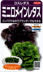 ミニロメインレタス