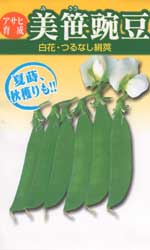 美笹豌豆