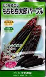 もちもち太郎　パープル