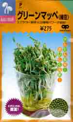 グリーンマッペ（緑豆）