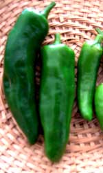 太長辛こしょう