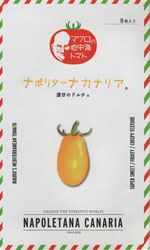 ナポリターナ　カナリア