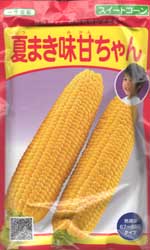 夏まき味甘ちゃん