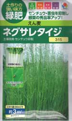 ネグサレタイジ