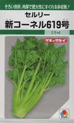 新コーネル619号