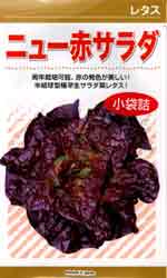 ニュー赤サラダ