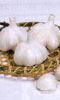 ニンニク　福地ホワイト