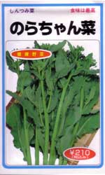 のらちゃん菜