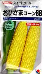 おひさまコーン88