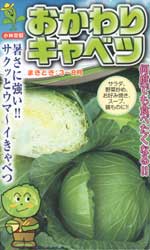 おかわりキャベツ