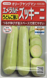 オリーブヤングマン