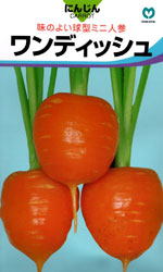 ワンディッシュ