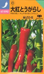 大紅とうがらし