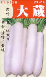 大蔵大根
