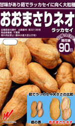 おおまさりネオ