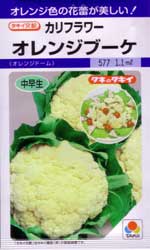 オレンジブーケ