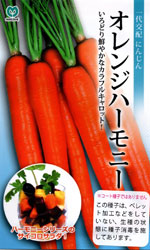 オレンジハーモニー