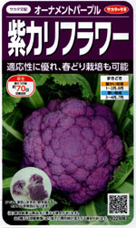 オーナメントパープル