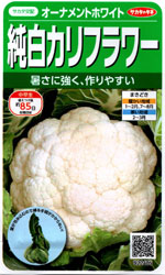 オーナメントホワイト