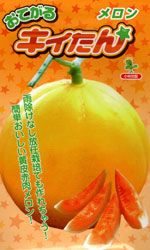 おてがるキイたん