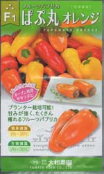 ぱぷ丸　オレンジ