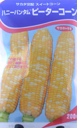 ピーターコーン