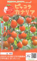 ピッコラ　カナリア