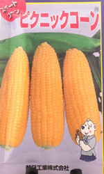 ピクニックコーン