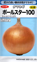 ポールスター100