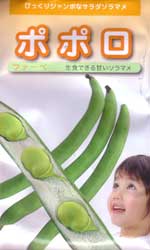 ポポロ