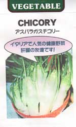 アスパラガスチコリー