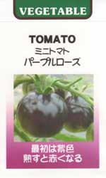 パープルローズ