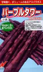 パープルタワー