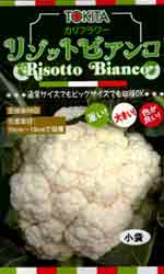 リゾットビアンコ90