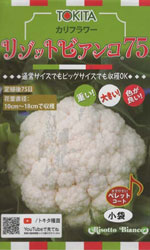 リゾットビアンコ75