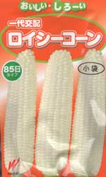 ロイシーコーン