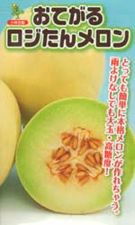 おてがるロジたん