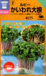 ルビー　かいわれ大根