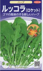 ルッコラ（ロケット）