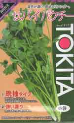 サバイパクチー