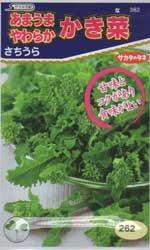 あまうまやわらかかき菜　さちうら