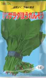 サラダほうれんそう