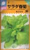 サラダ春菊